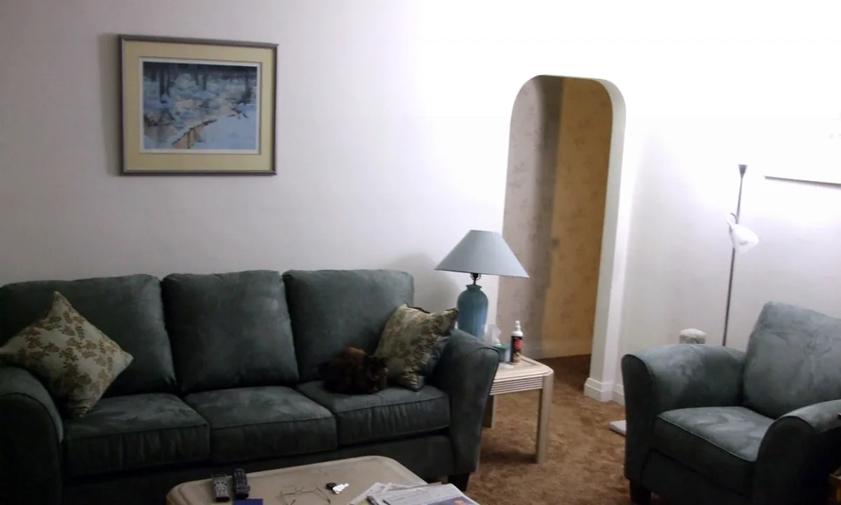 Koltuktan Evcil Hayvan Paraziti (Uyuz, Kene, Pire) Temizliği 2026