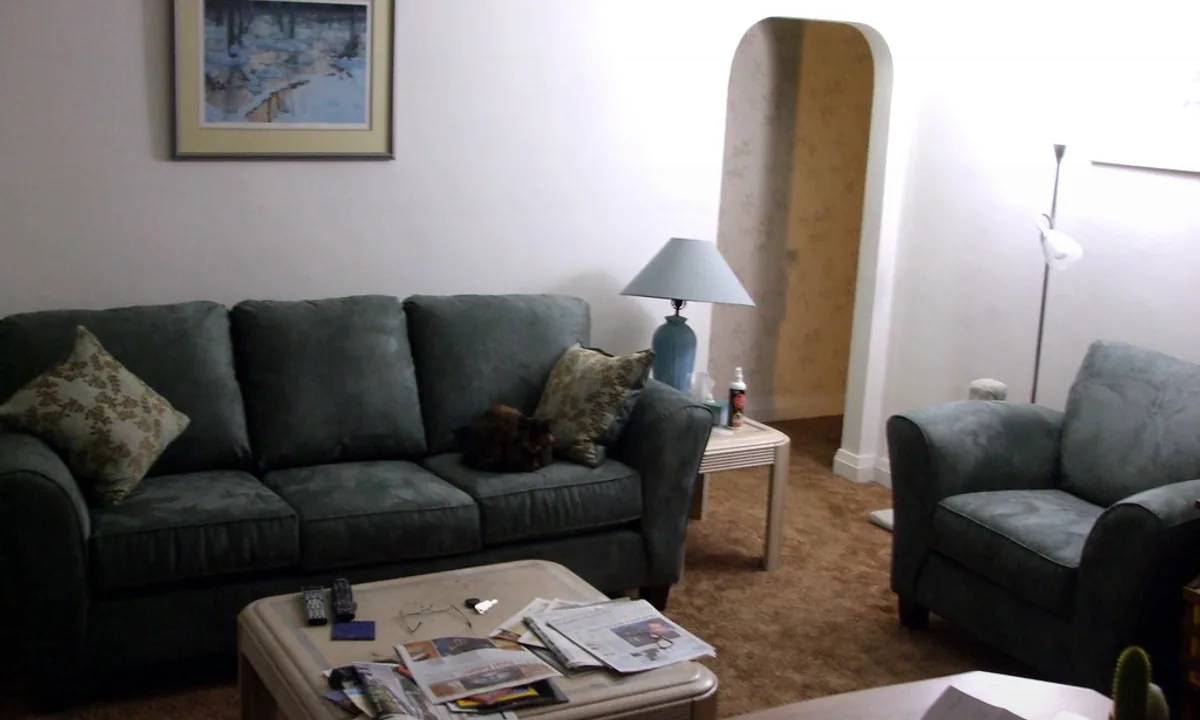 Koltuktan Köpek Tüyü ve Kılı Temizleme | Kesin Çözüm Rehberi 2026